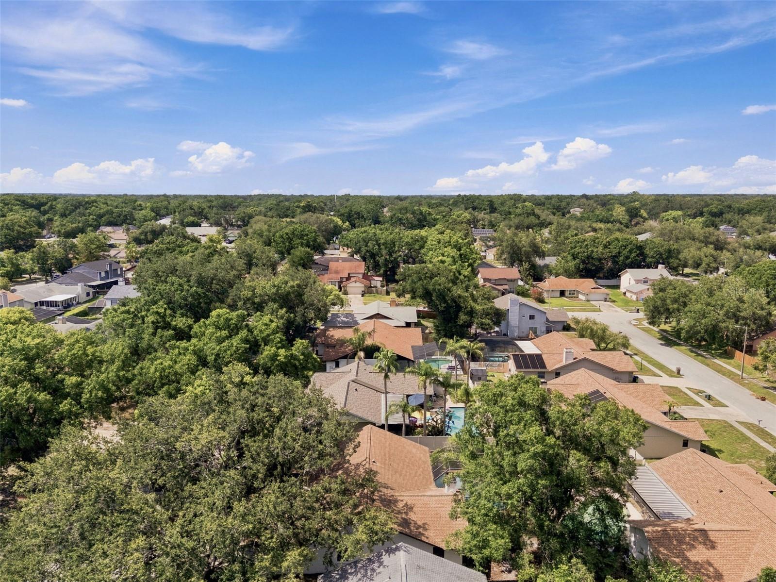 2721 Briarpatch Drive Valrico FL 33596 TB8530058 image64