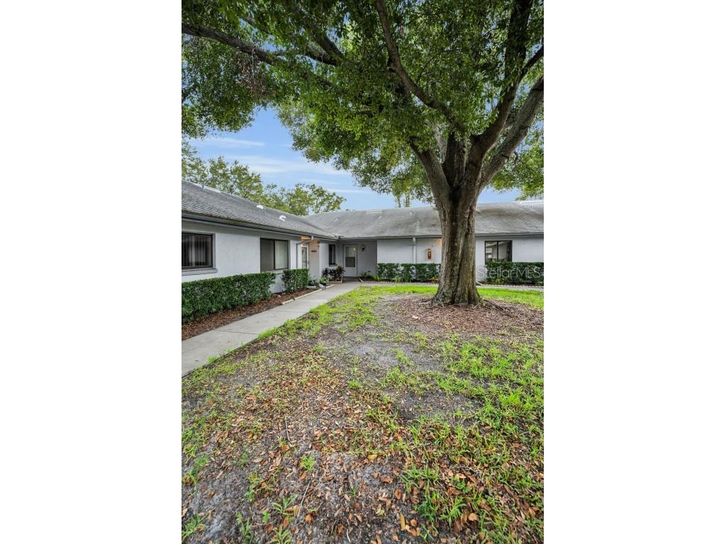 2721 Countryside Boulevard #105 Clearwater FL 33761 TB8429044 image83