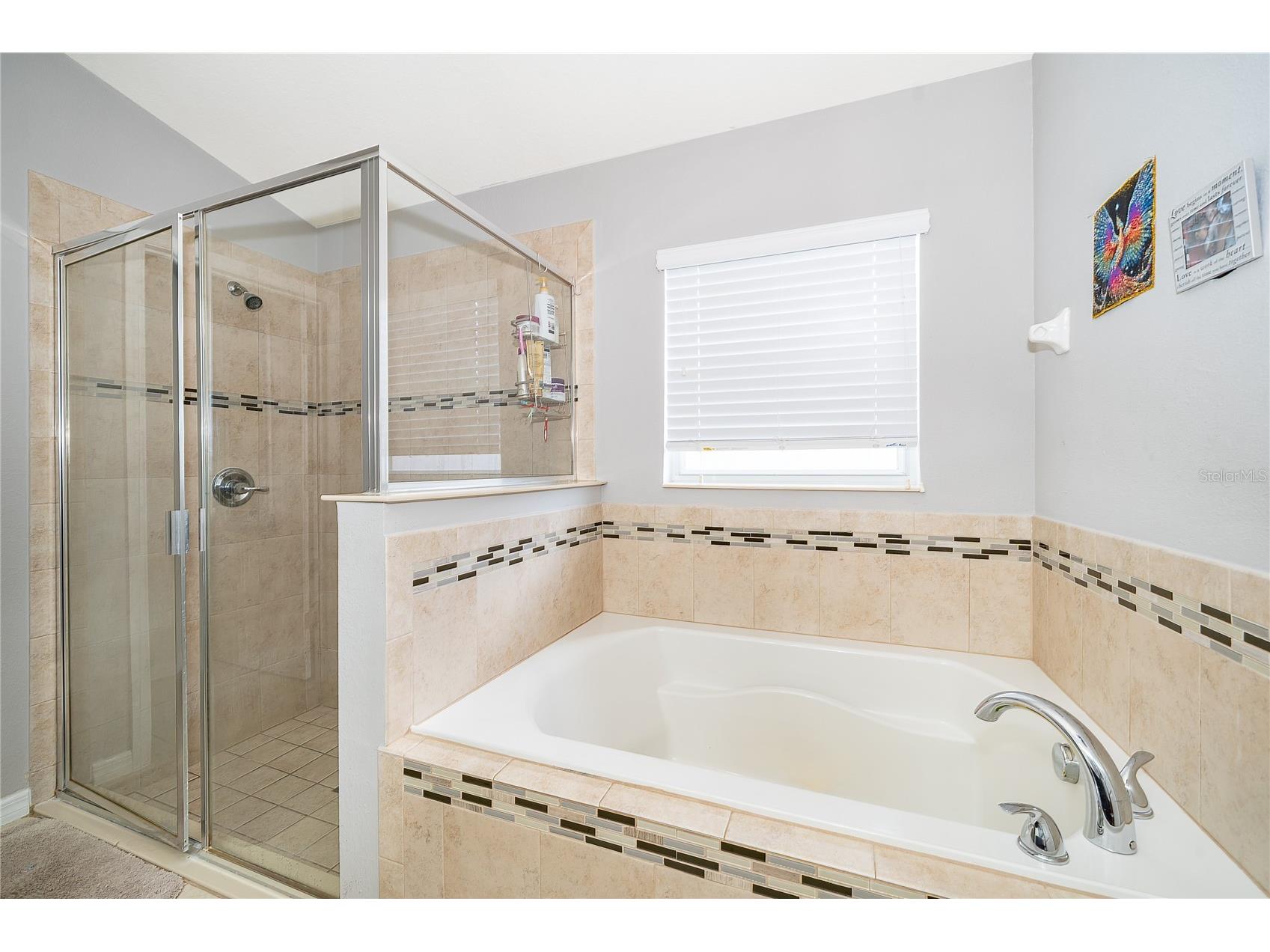 2721 Dolfino Drive Saint Cloud FL 34772 S5148432 image28