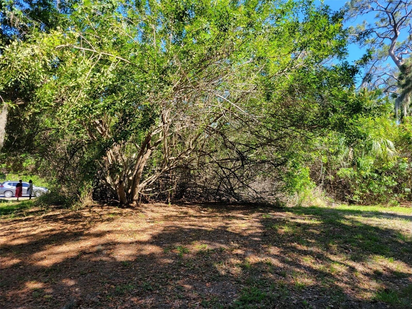 2721 Halladay Street North Port FL 34287 TB8483021 image1