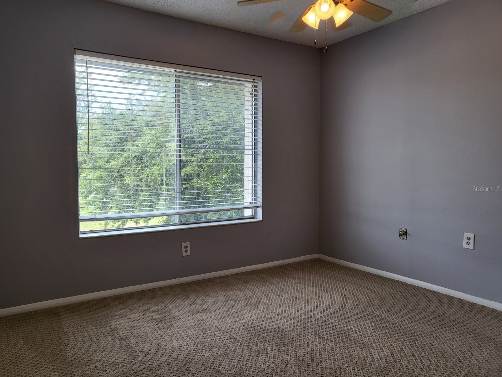 2721 Hidden Lake Boulevard #C Sarasota FL 34237 A4695135 image21