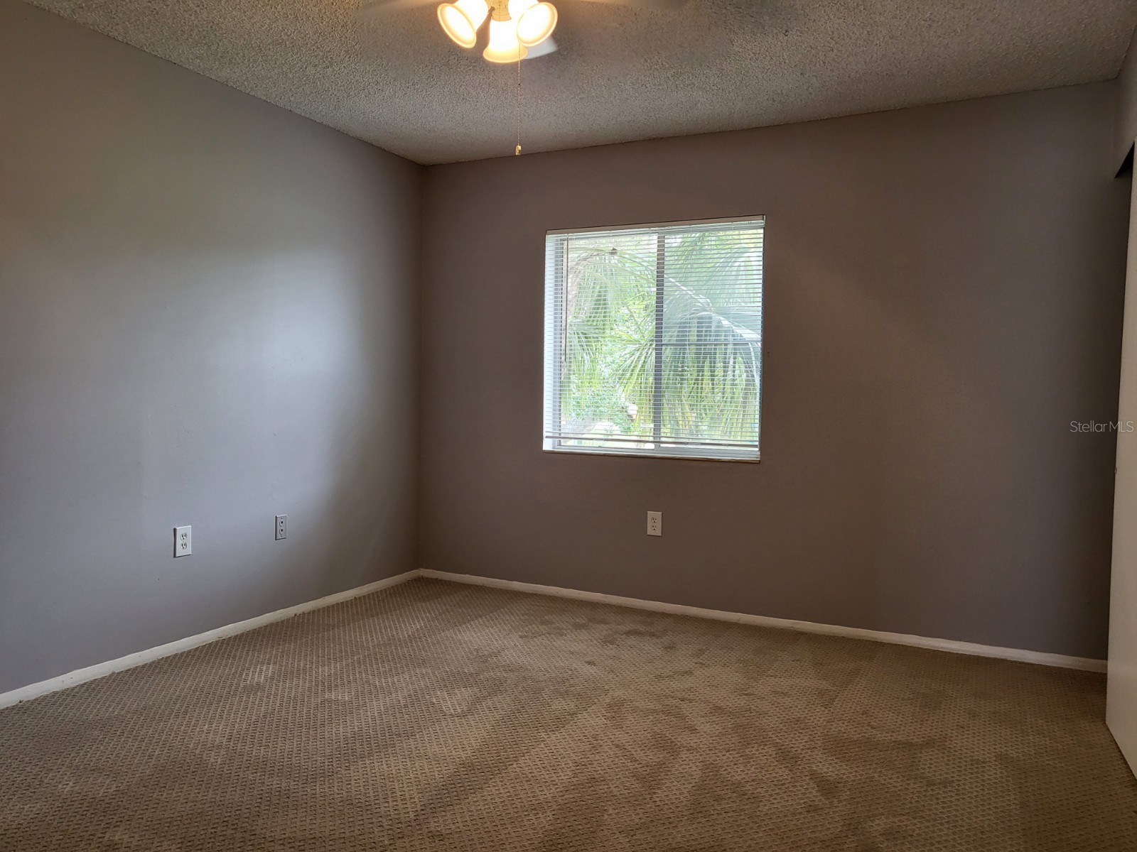 2721 Hidden Lake Boulevard #C Sarasota FL 34237 A4695135 image23