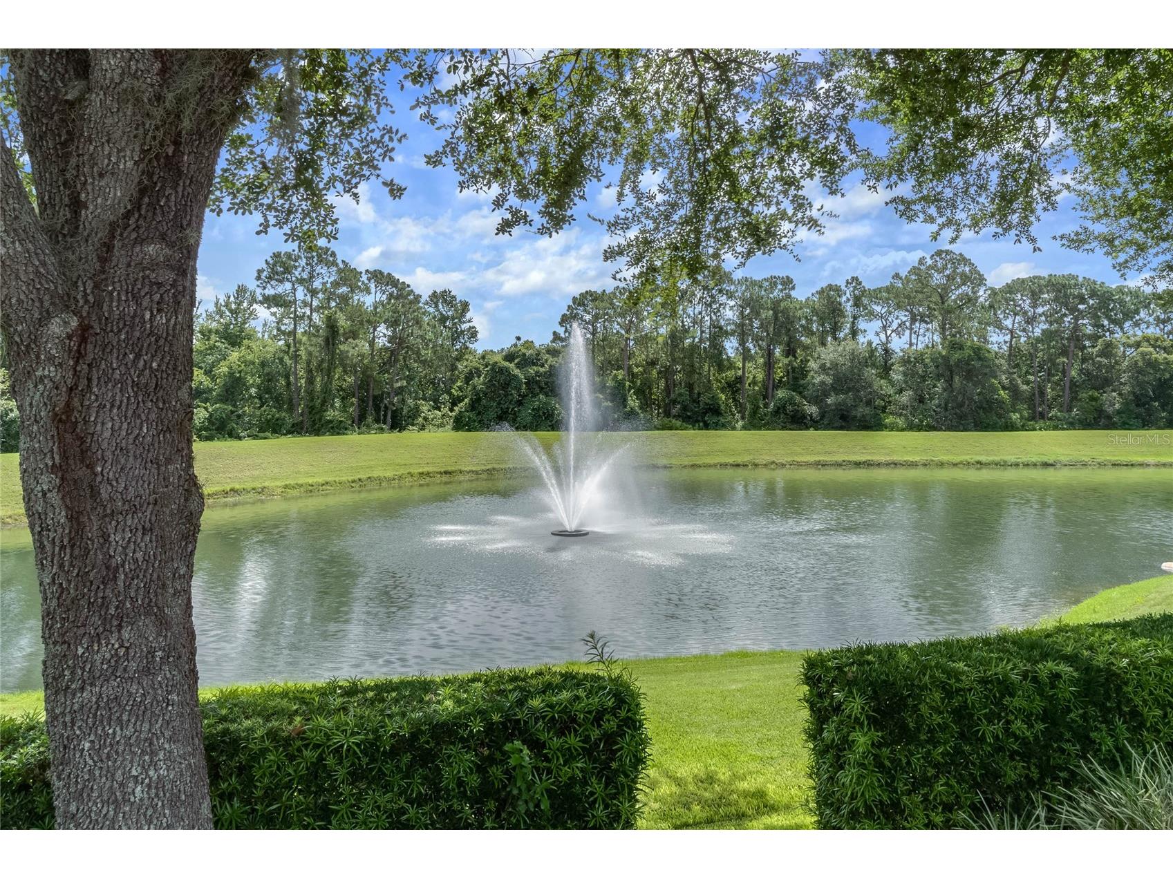 2721 Lido Key Drive Kissimmee FL 34747 O6397773 image64