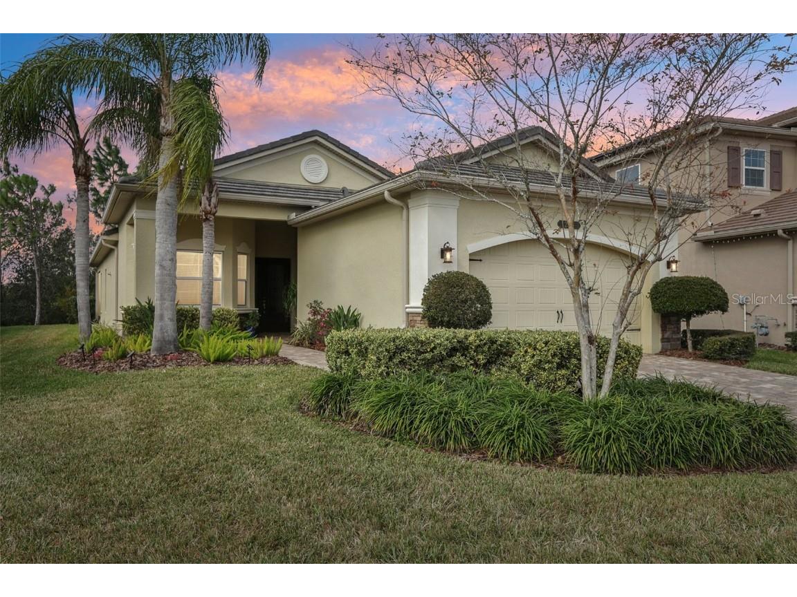 2721 Tarragona Way Wesley Chapel FL 33543 TB8340293 image1