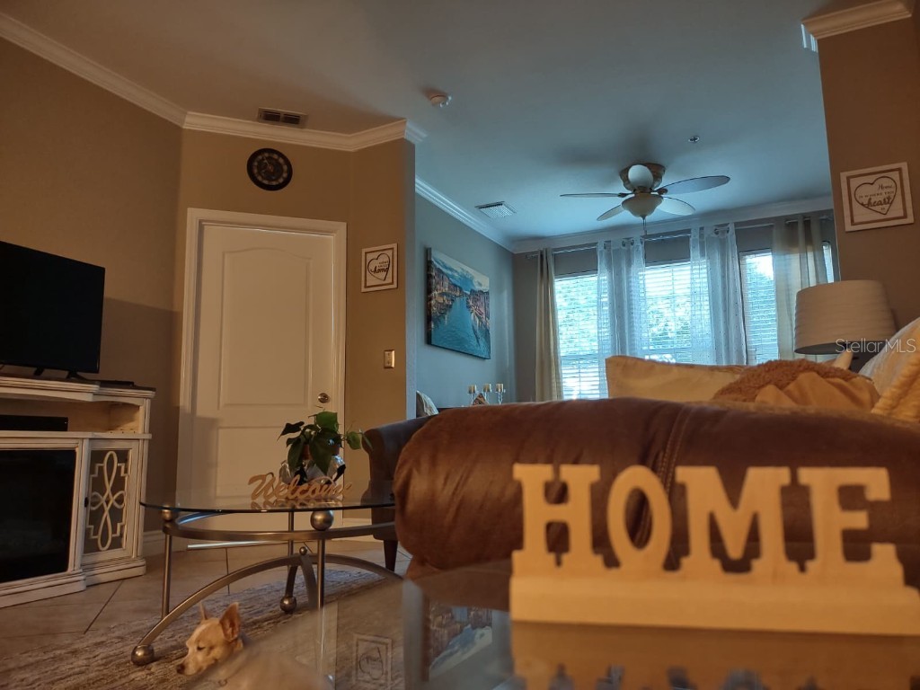 2721 Via Murano #311 Clearwater FL 33764 O6344647 image7