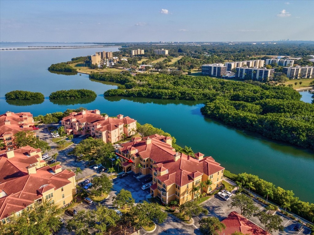 2721 Via Murano #322 Clearwater FL 33764 TB8448964 image53