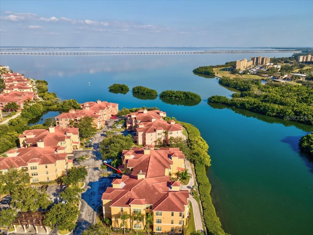 2721 Via Murano #322 Clearwater FL 33764 TB8448964 image56