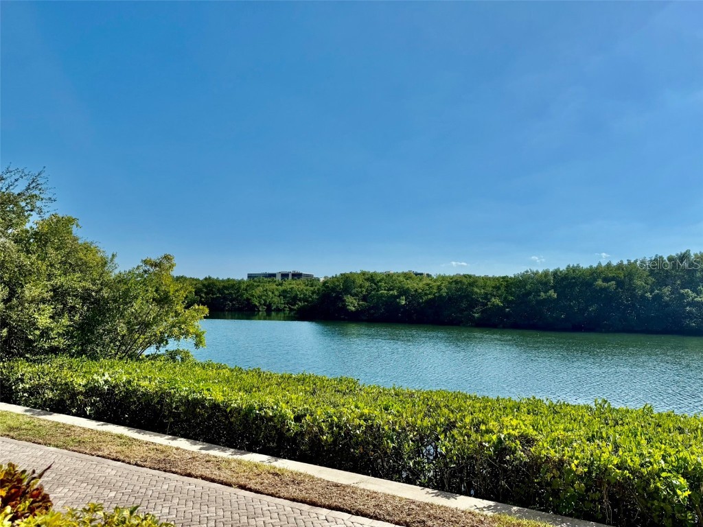 2721 Via Murano #335 Clearwater FL 33764 TB8450054 image17