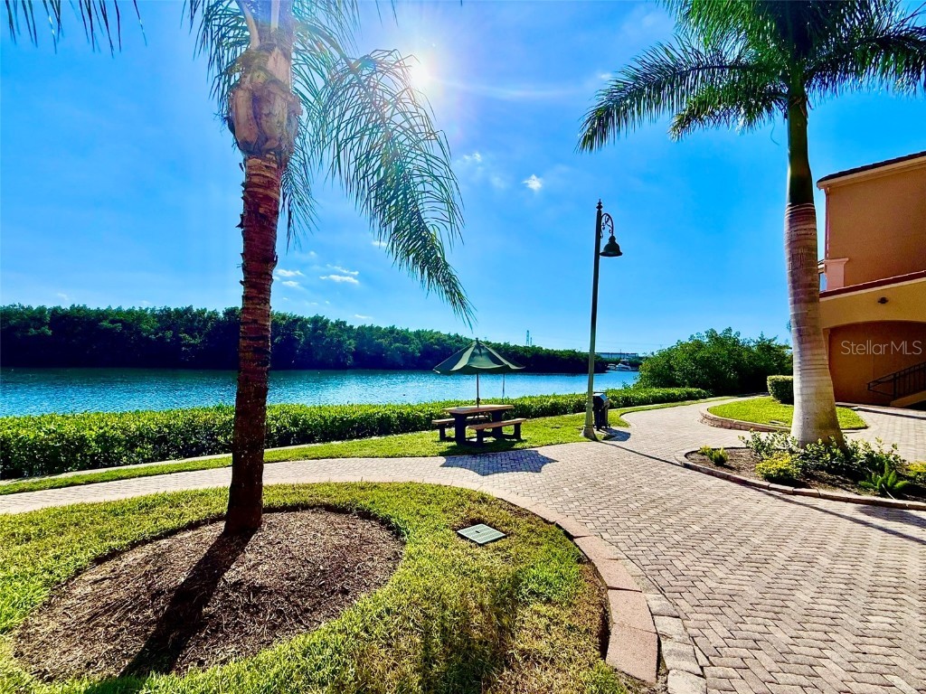 2721 Via Murano #335 Clearwater FL 33764 TB8450054 image18