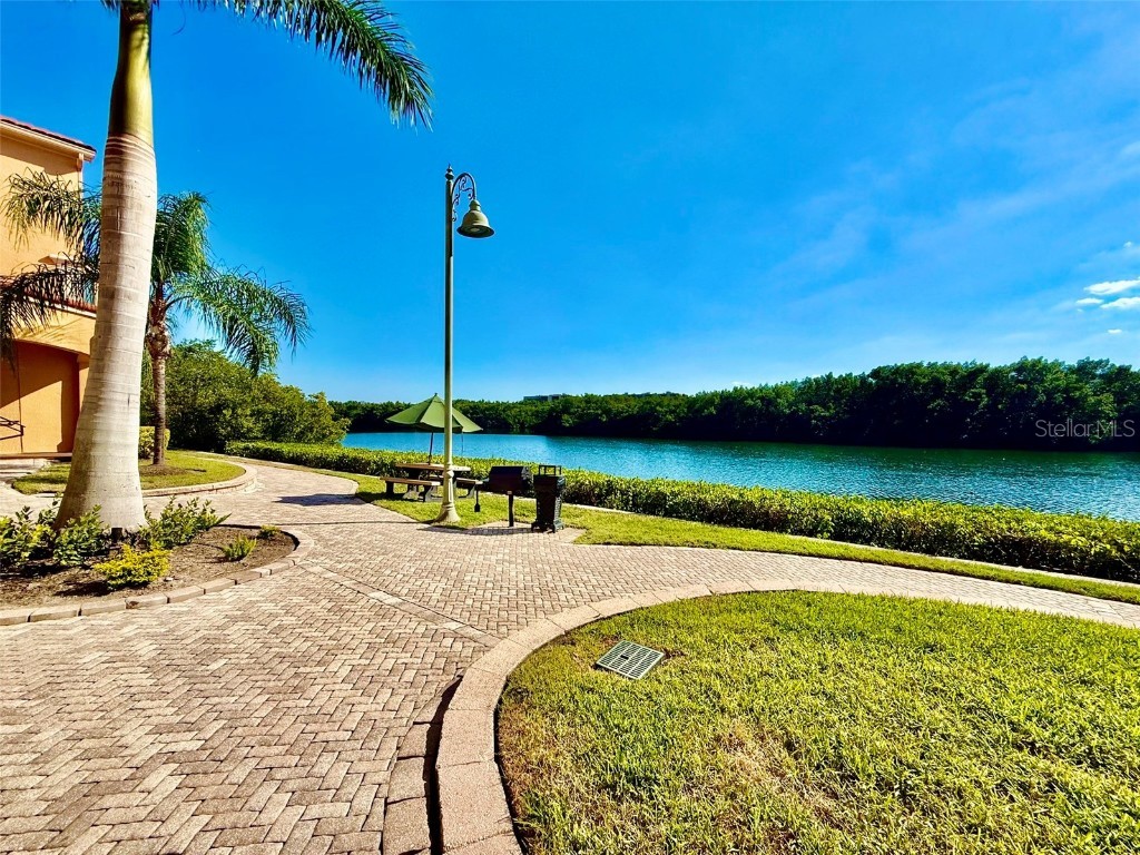 2721 Via Murano #335 Clearwater FL 33764 TB8450054 image19