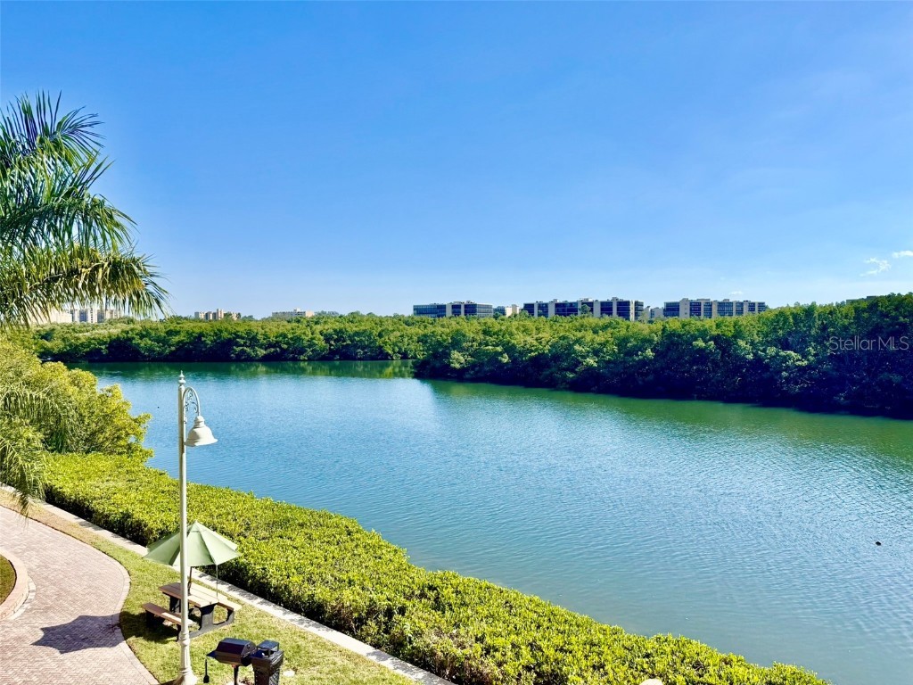 2721 Via Murano #335 Clearwater FL 33764 TB8450054 image20