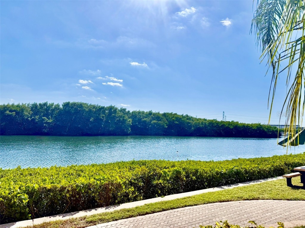 2721 Via Murano #335 Clearwater FL 33764 TB8450054 image5