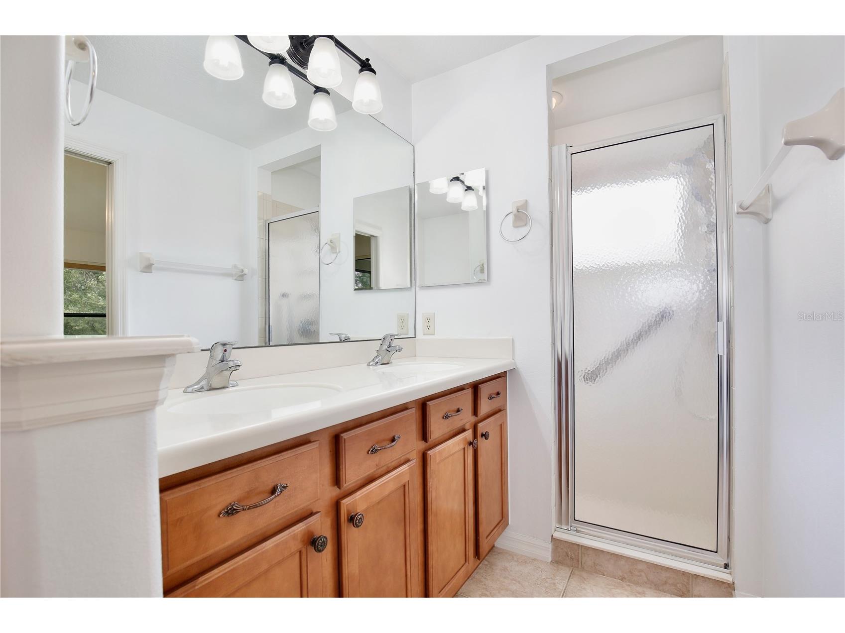 27210 Stoney Brook Drive Leesburg FL 34748 O6400899 image22