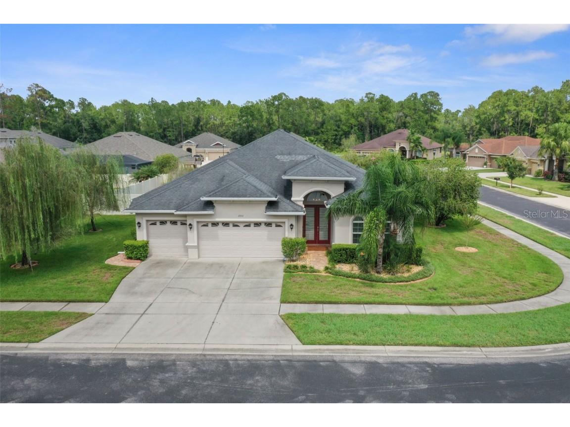 27211 Hawks Nest Circle Wesley Chapel FL 33544 TB8422352 image1