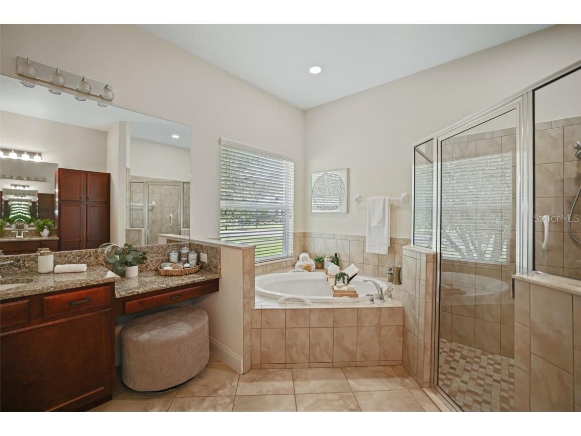 27211 Hawks Nest Circle Wesley Chapel FL 33544 TB8422352 image27