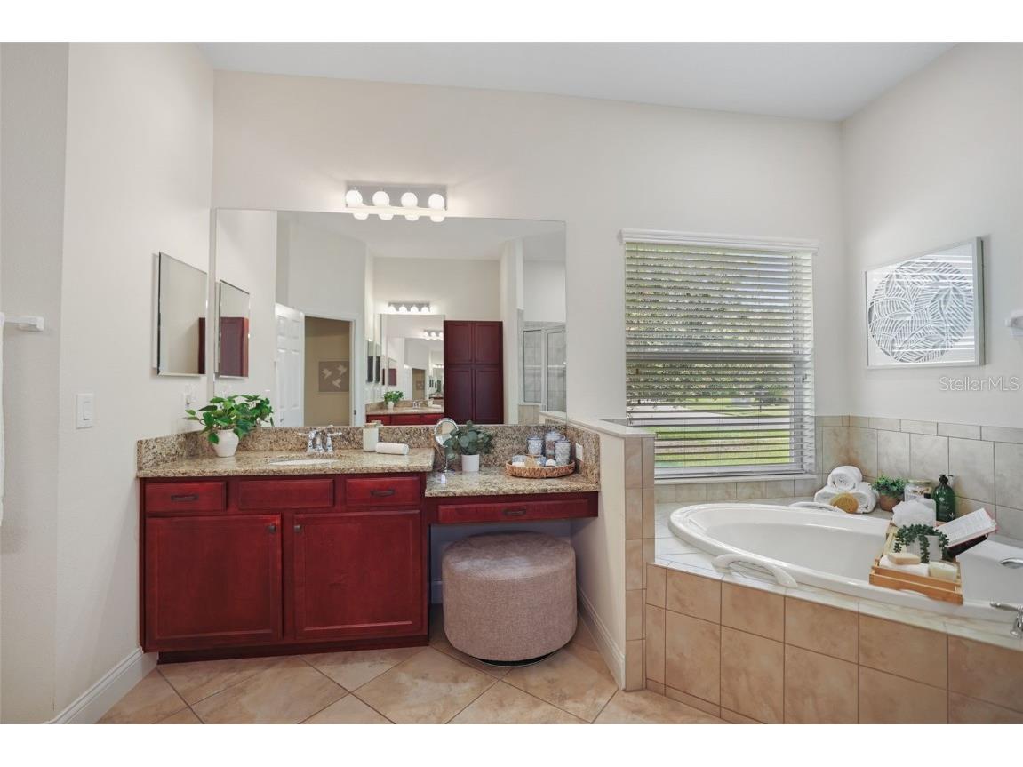 27211 Hawks Nest Circle Wesley Chapel FL 33544 TB8422352 image28