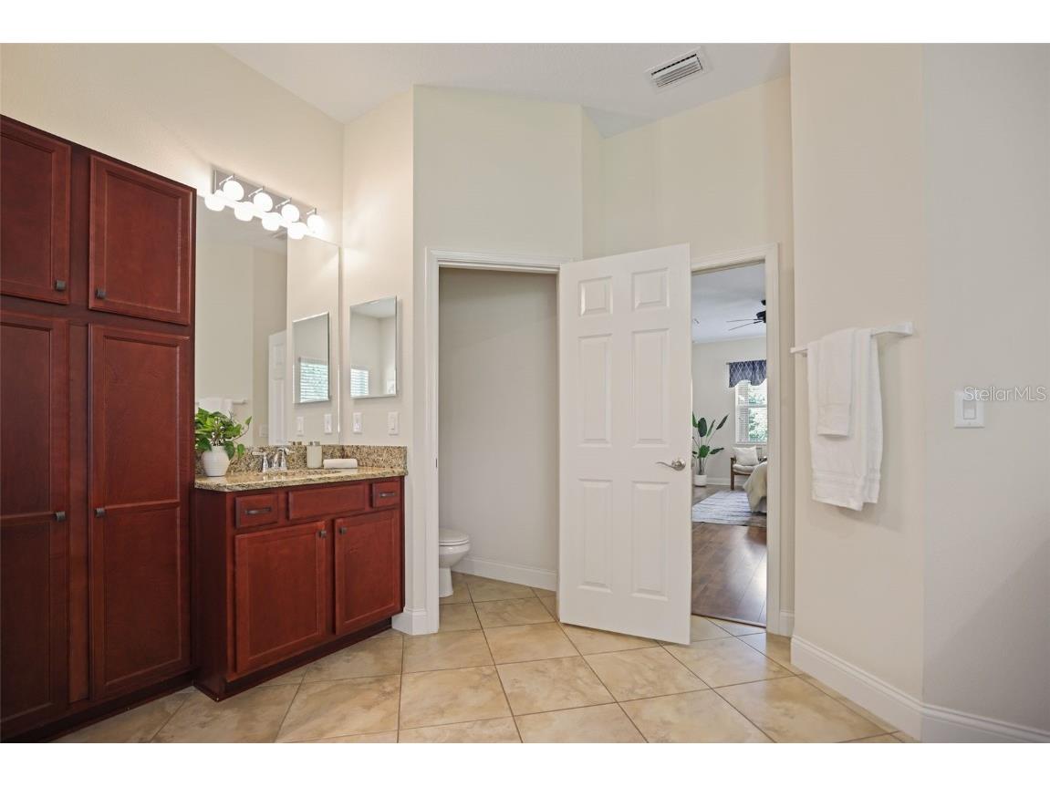 27211 Hawks Nest Circle Wesley Chapel FL 33544 TB8422352 image29