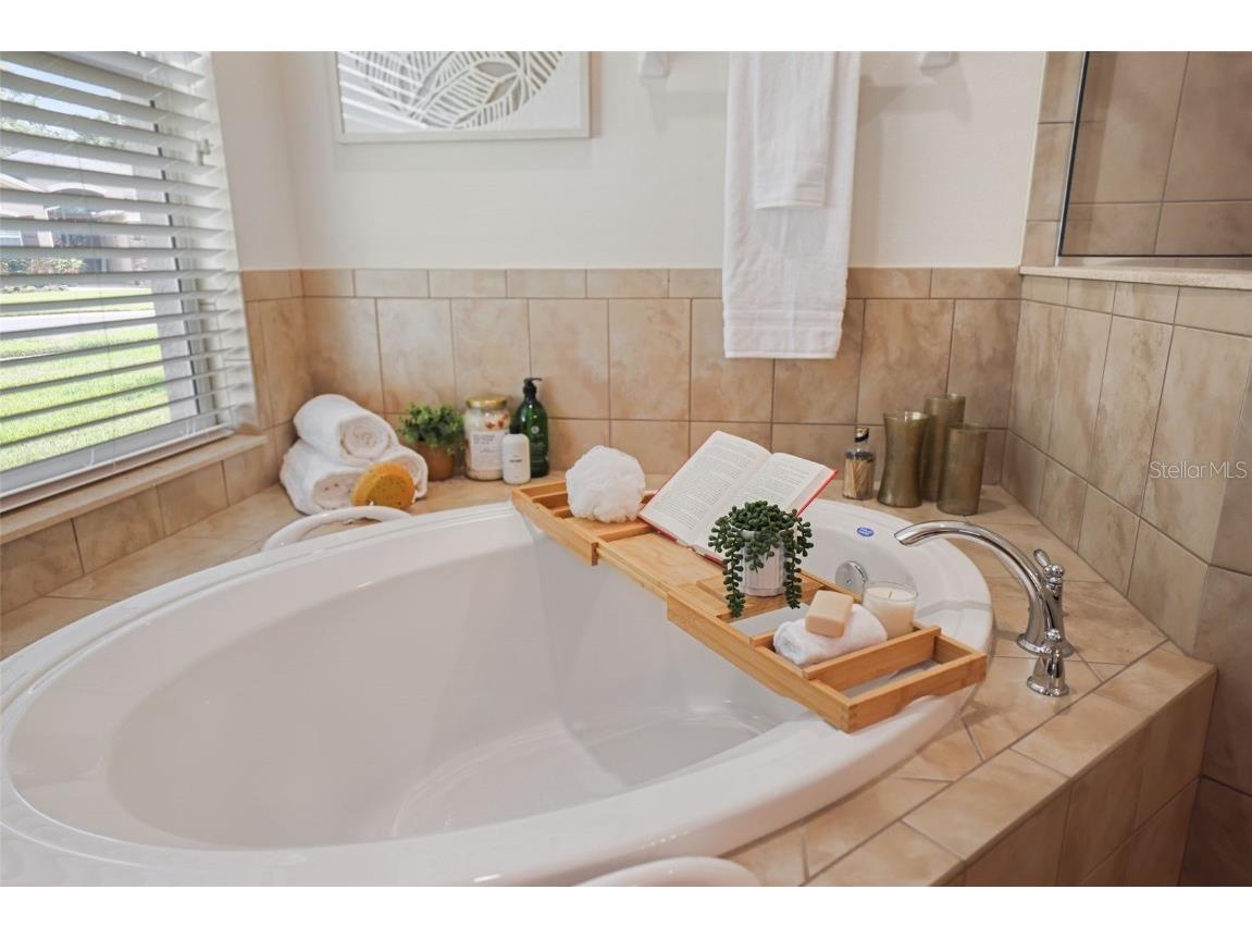 27211 Hawks Nest Circle Wesley Chapel FL 33544 TB8422352 image31