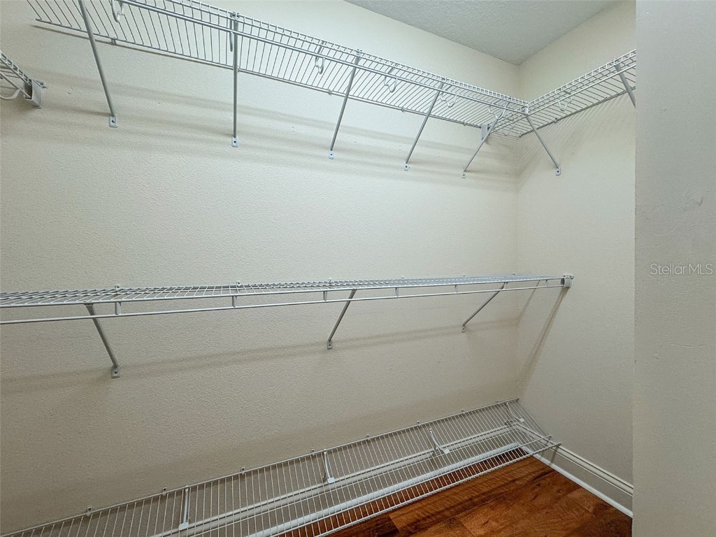 27211 Hawks Nest Circle Wesley Chapel FL 33544 TB8422352 image32