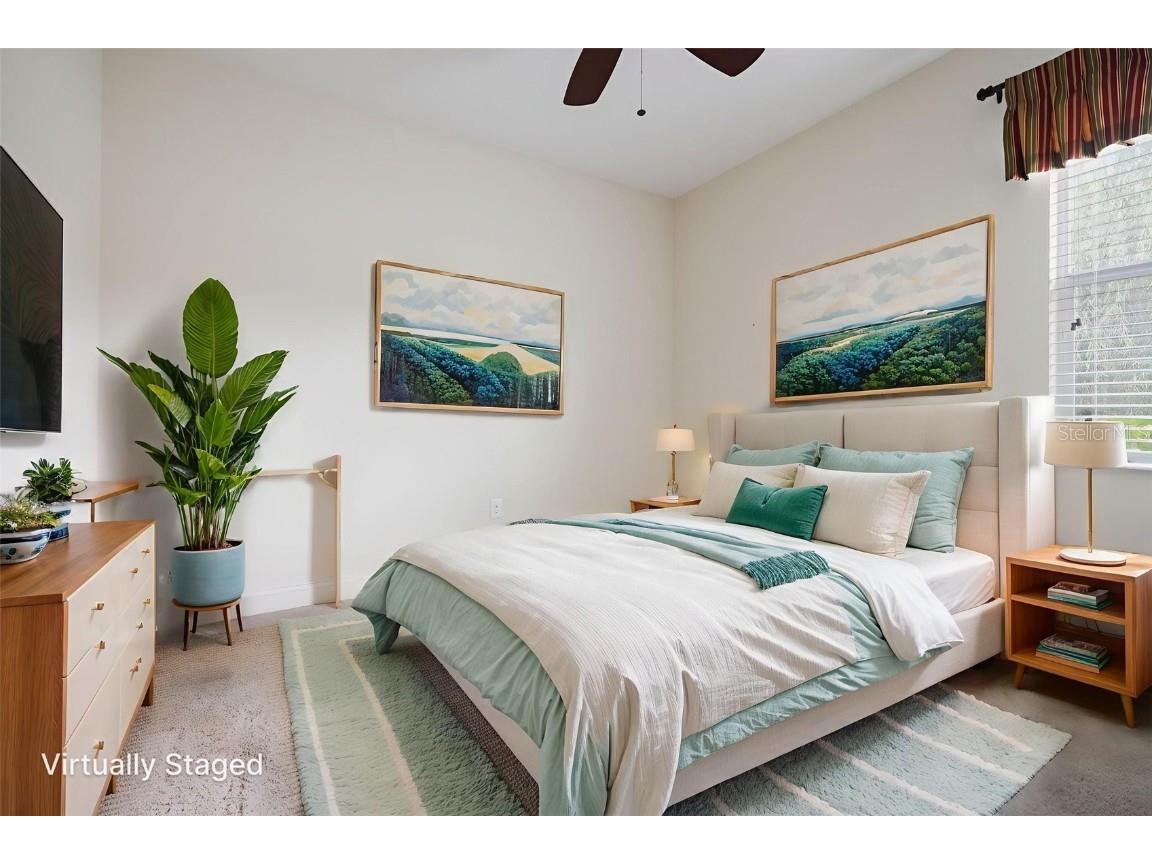 27211 Hawks Nest Circle Wesley Chapel FL 33544 TB8422352 image34