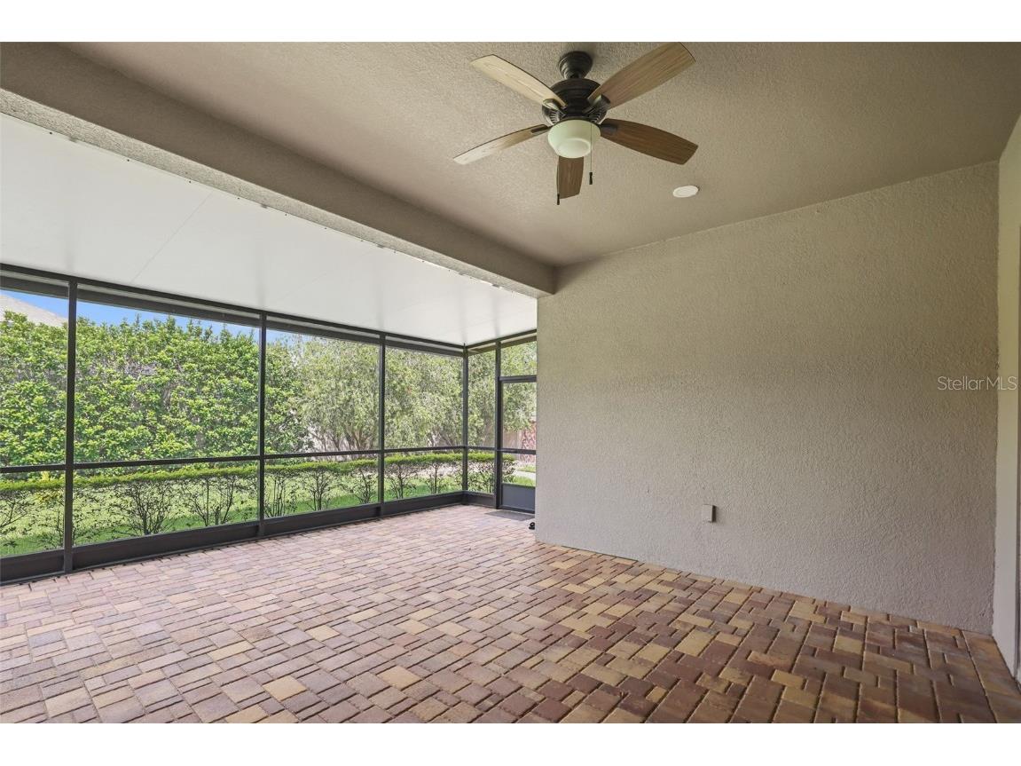 27211 Hawks Nest Circle Wesley Chapel FL 33544 TB8422352 image40