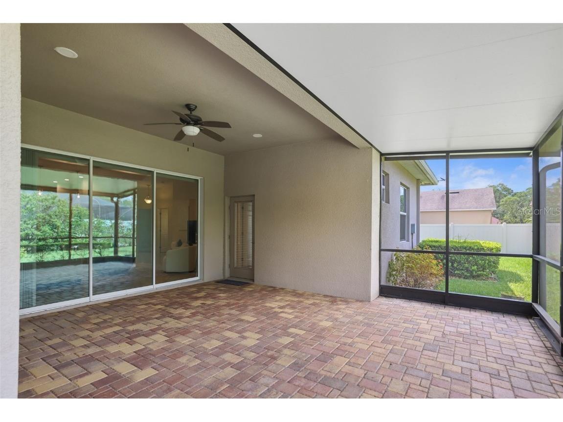 27211 Hawks Nest Circle Wesley Chapel FL 33544 TB8422352 image42