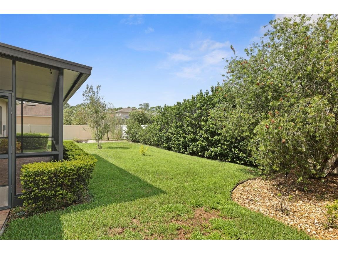 27211 Hawks Nest Circle Wesley Chapel FL 33544 TB8422352 image44