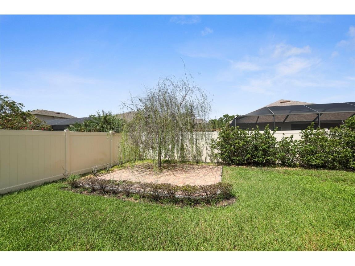 27211 Hawks Nest Circle Wesley Chapel FL 33544 TB8422352 image47