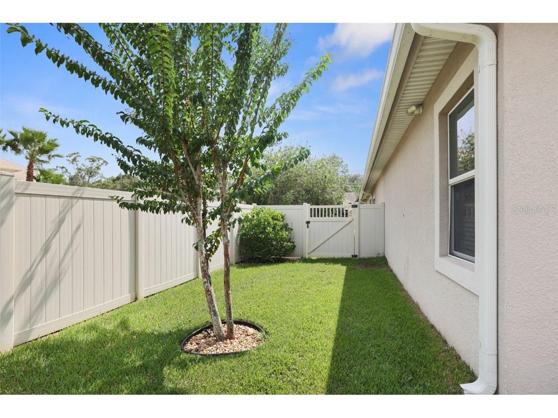 27211 Hawks Nest Circle Wesley Chapel FL 33544 TB8422352 image48