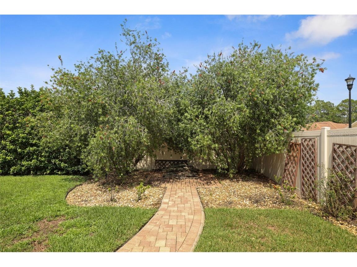 27211 Hawks Nest Circle Wesley Chapel FL 33544 TB8422352 image49