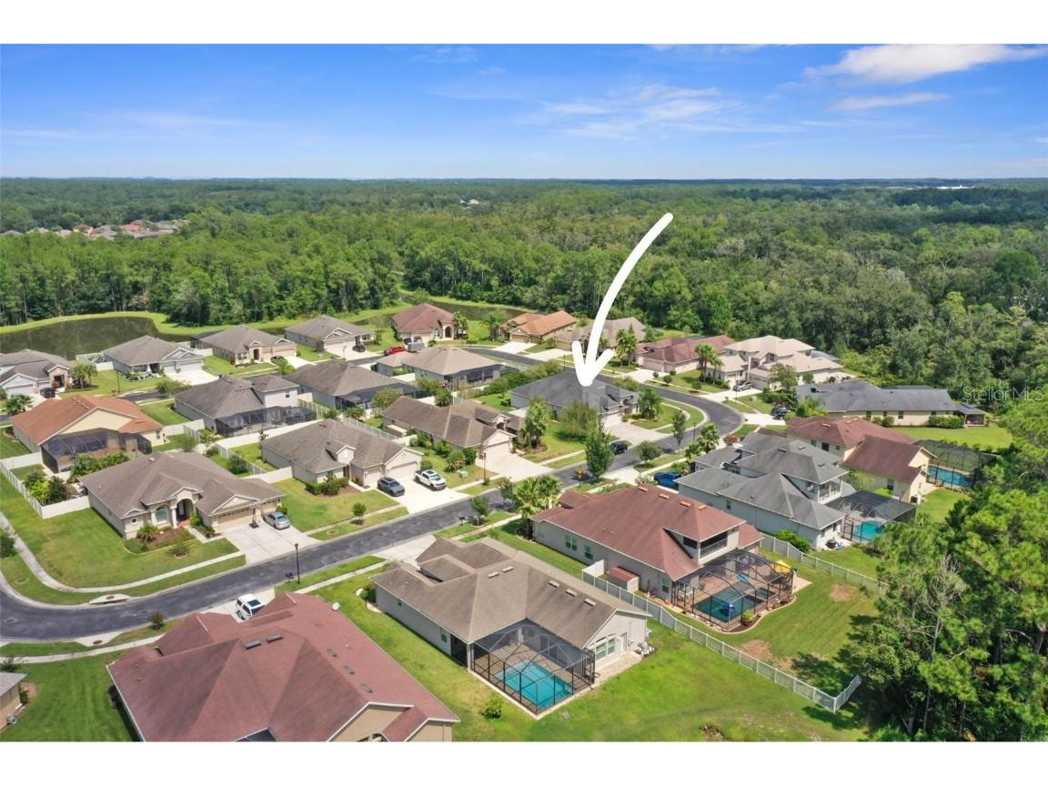 27211 Hawks Nest Circle Wesley Chapel FL 33544 TB8422352 image53