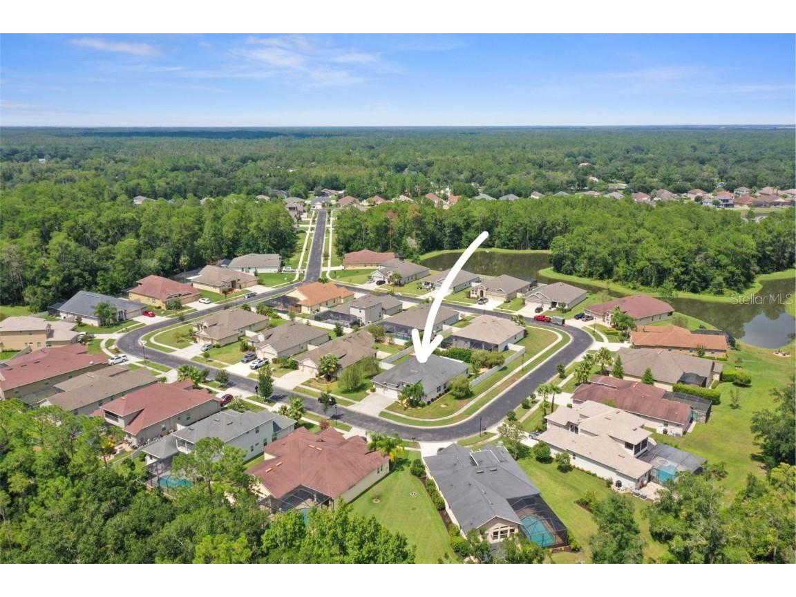 27211 Hawks Nest Circle Wesley Chapel FL 33544 TB8422352 image54