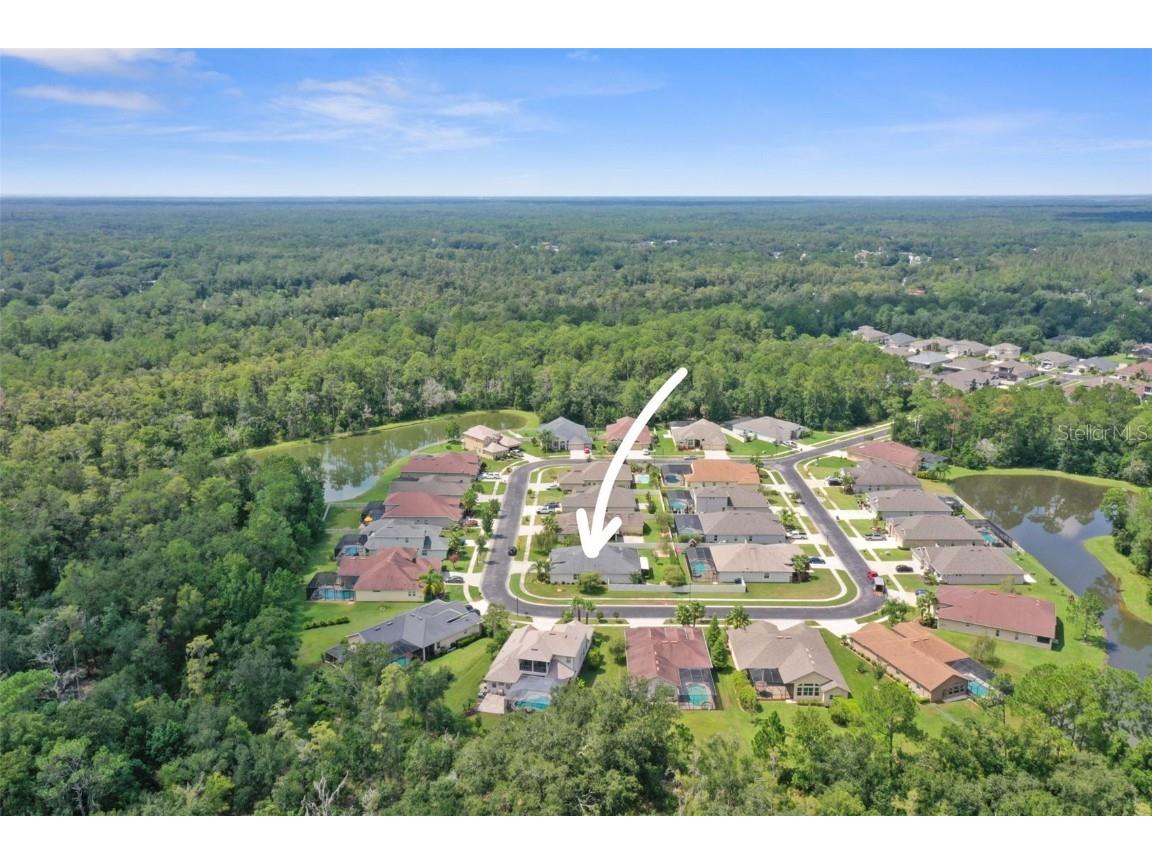 27211 Hawks Nest Circle Wesley Chapel FL 33544 TB8422352 image55