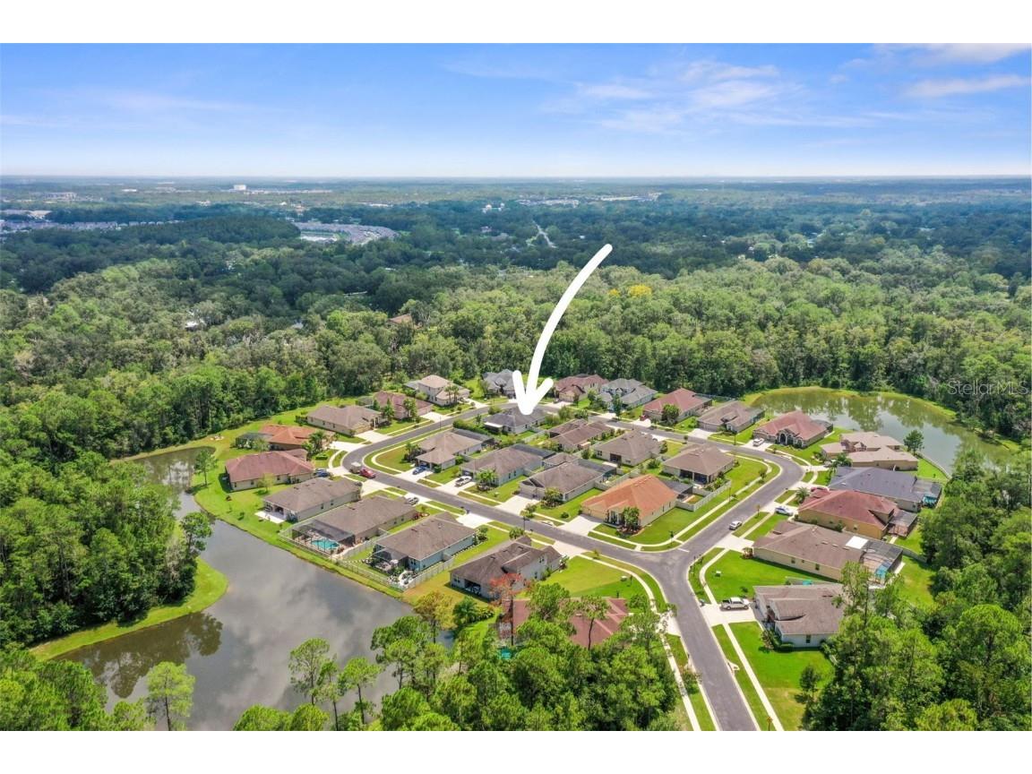 27211 Hawks Nest Circle Wesley Chapel FL 33544 TB8422352 image56