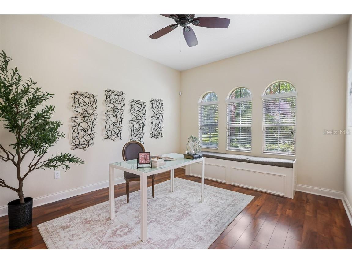 27211 Hawks Nest Circle Wesley Chapel FL 33544 TB8422352 image6