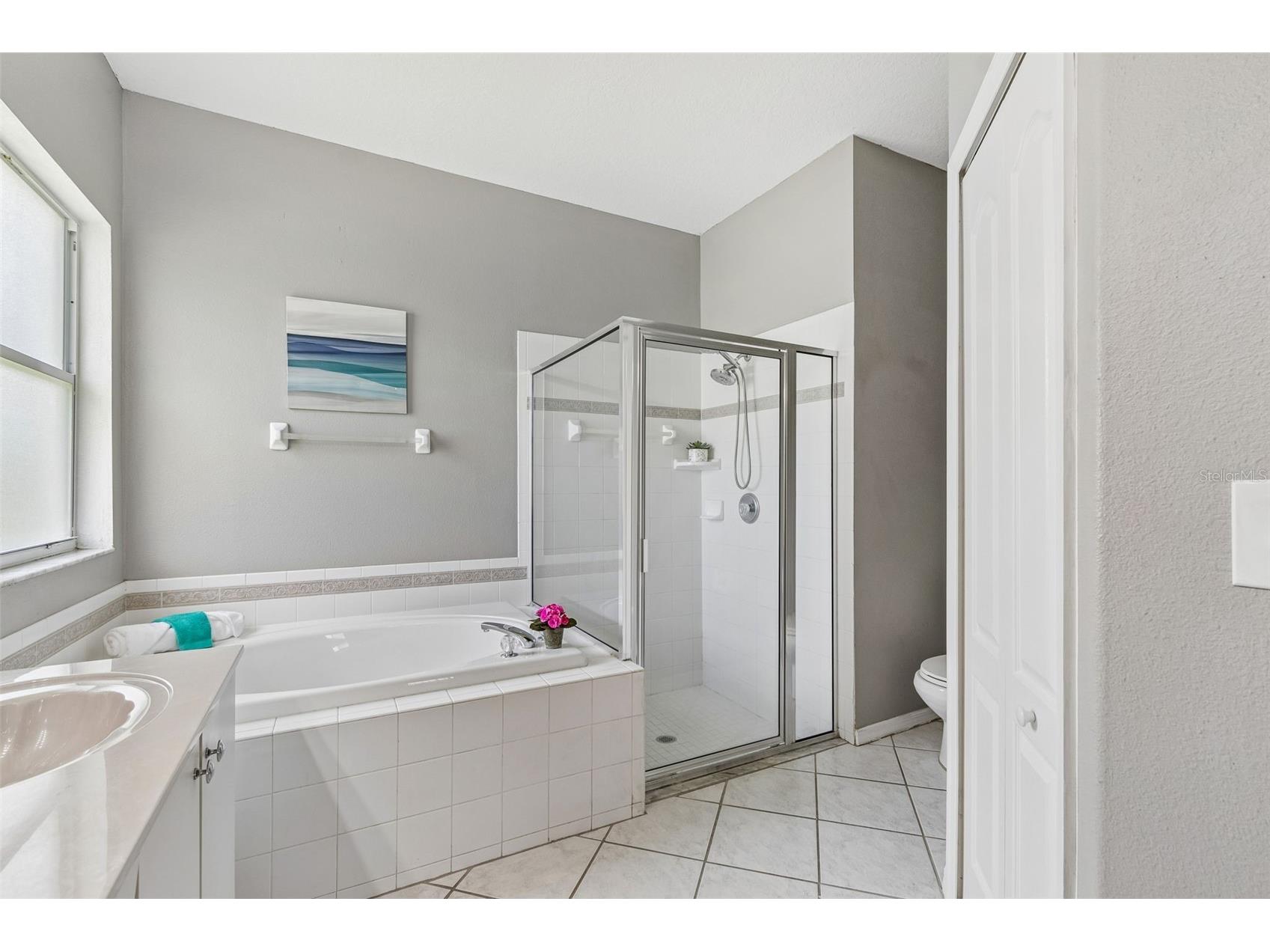 27211 Liriope Court Wesley Chapel FL 33544 TB8519439 image23
