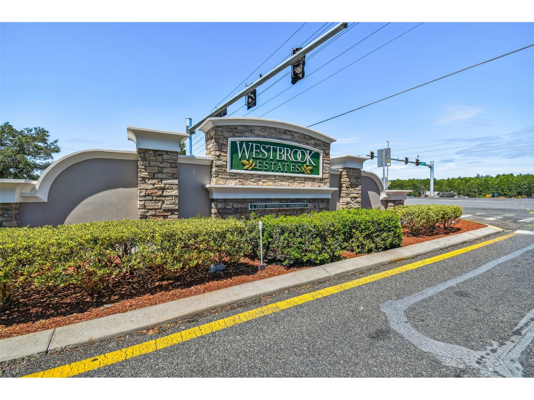 27211 Liriope Court Wesley Chapel FL 33544 TB8519439 image49