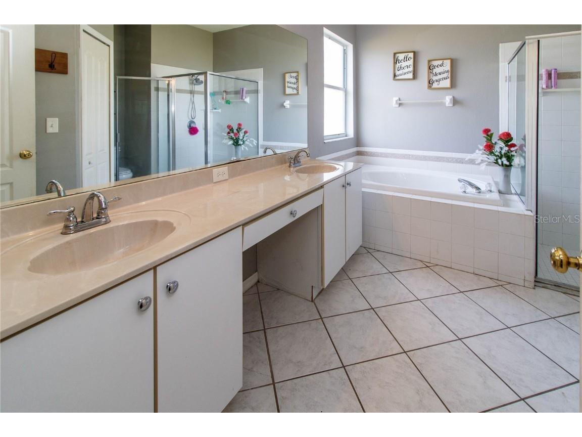 27211 Liriope Court Wesley Chapel FL 33544 W7880848 image13