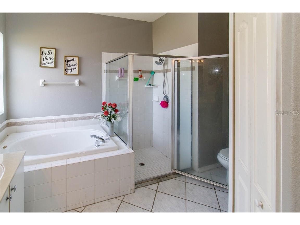 27211 Liriope Court Wesley Chapel FL 33544 W7880848 image14