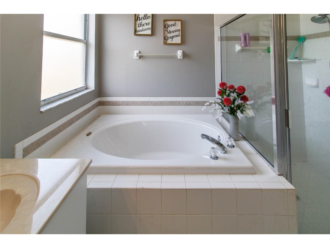 27211 Liriope Court Wesley Chapel FL 33544 W7880848 image15