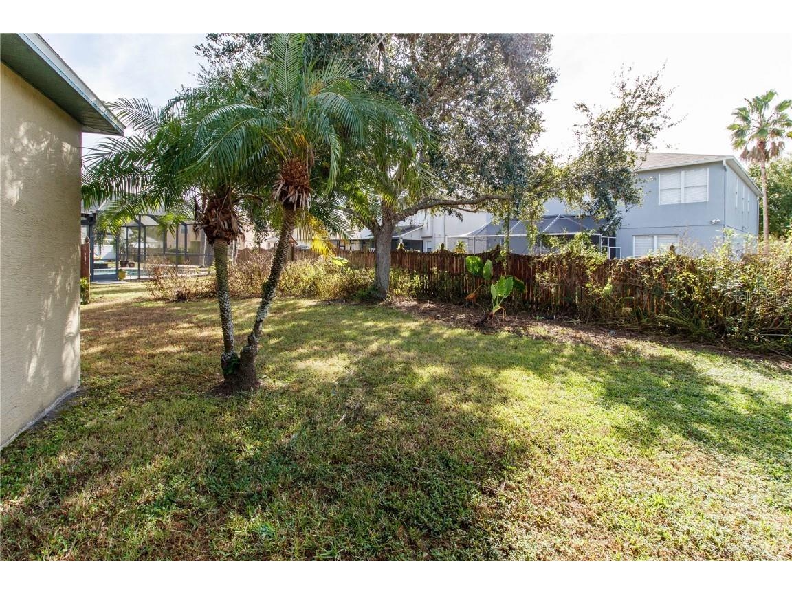 27211 Liriope Court Wesley Chapel FL 33544 W7880848 image24