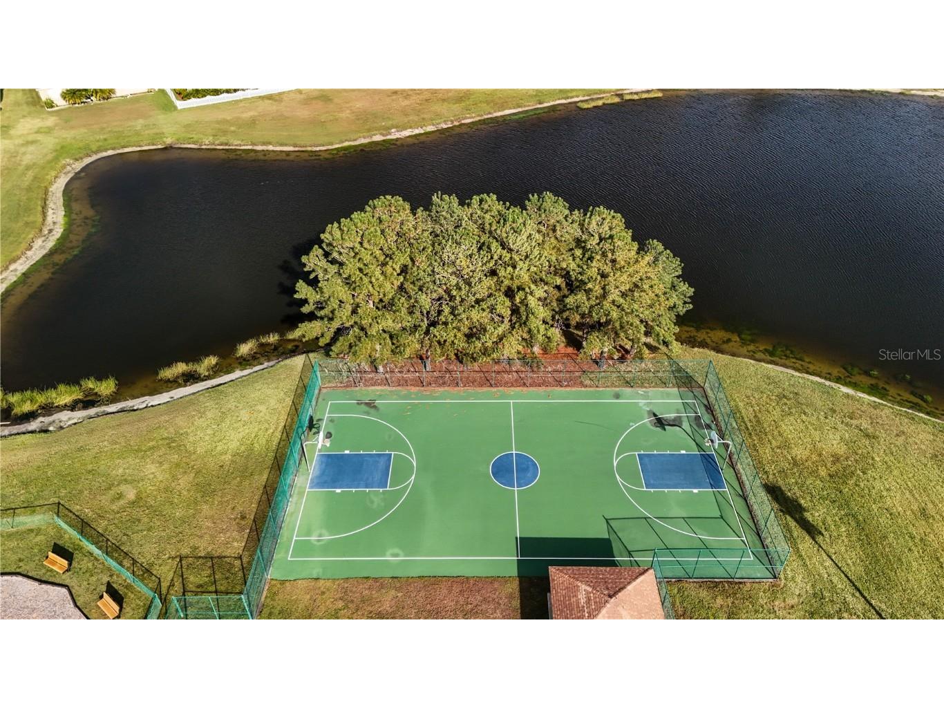 27211 Liriope Court Wesley Chapel FL 33544 W7880848 image28