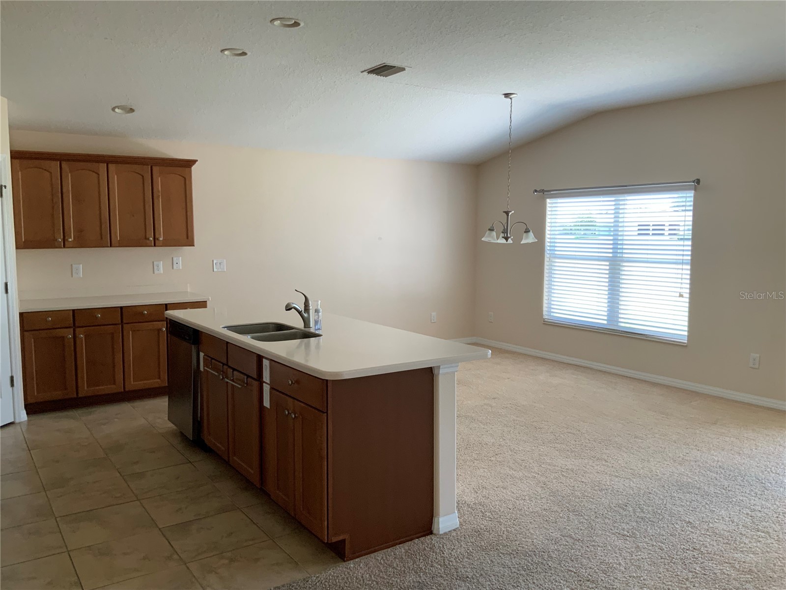 27215 Roanoke Drive Leesburg FL 34748 G5111951 image4