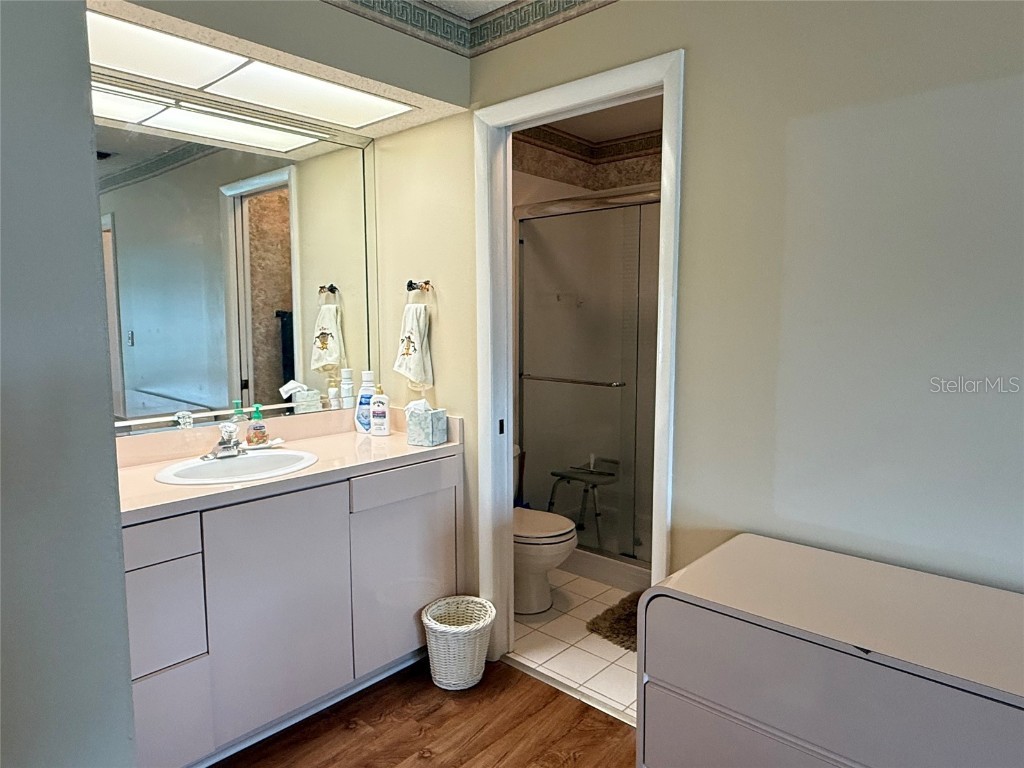 2722 Sherbrooke Lane #D Palm Harbor FL 34684 TB8404316 image27