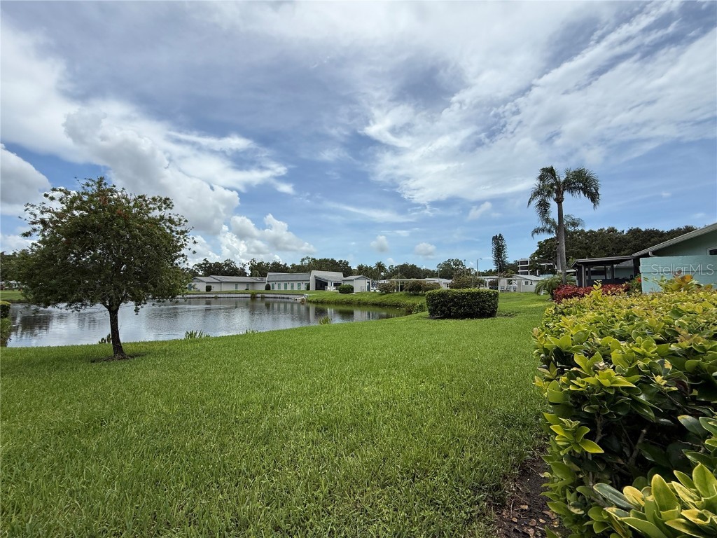2722 Sherbrooke Lane #D Palm Harbor FL 34684 TB8404316 image37