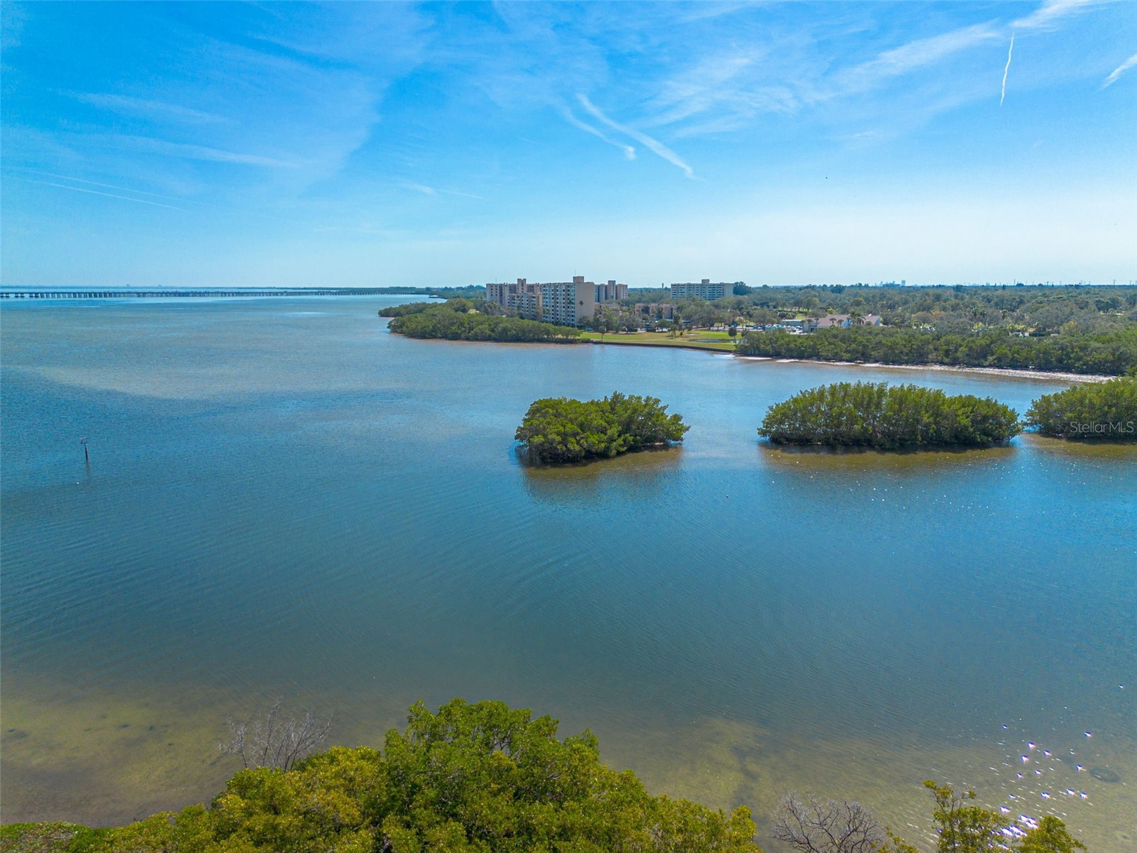 2722 Via Tivoli #430A Clearwater FL 33764 TB8476704 image39