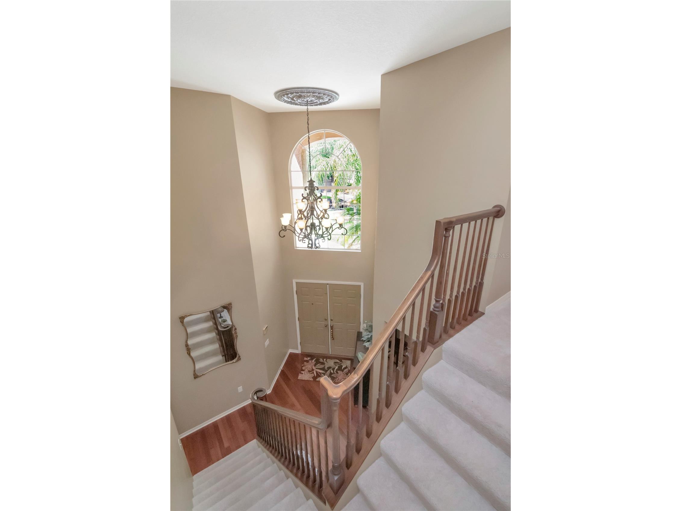 27221 Sea Breeze Way Wesley Chapel FL 33544 TB8511930 image16