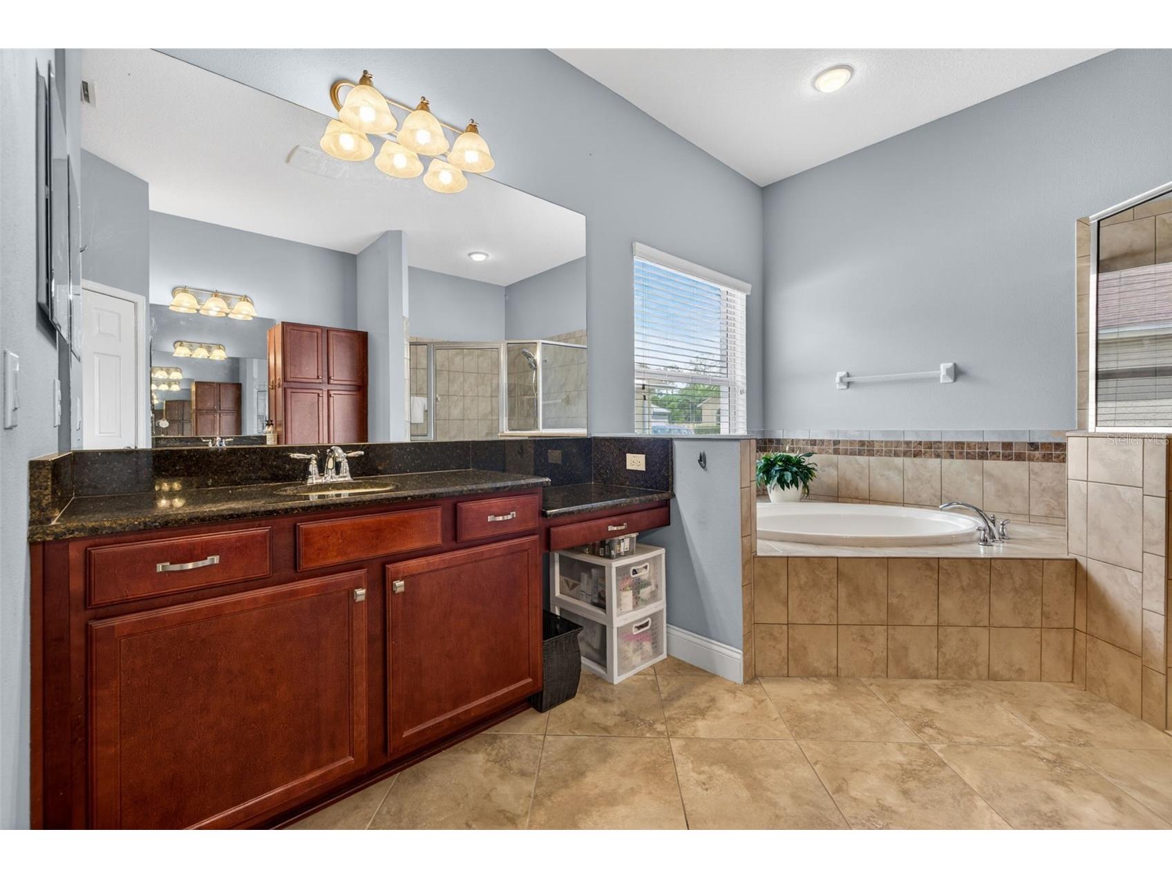 27225 Sora Boulevard Wesley Chapel FL 33544 TB8512895 image18