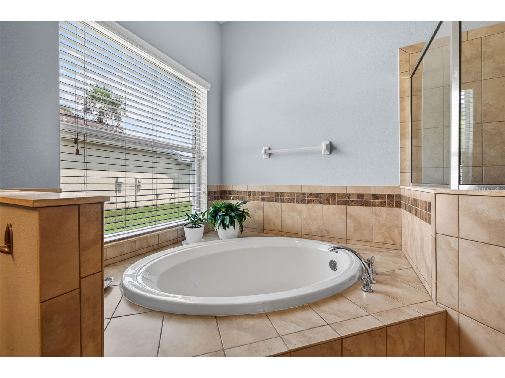 27225 Sora Boulevard Wesley Chapel FL 33544 TB8512895 image19