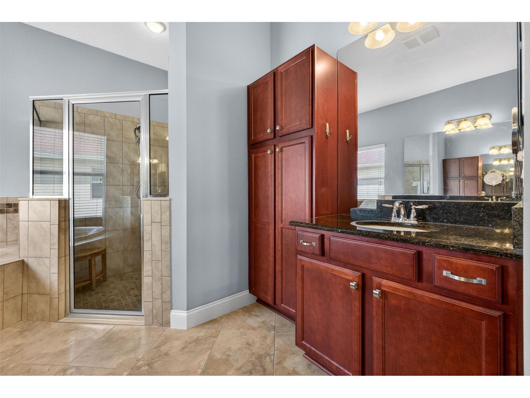 27225 Sora Boulevard Wesley Chapel FL 33544 TB8512895 image20